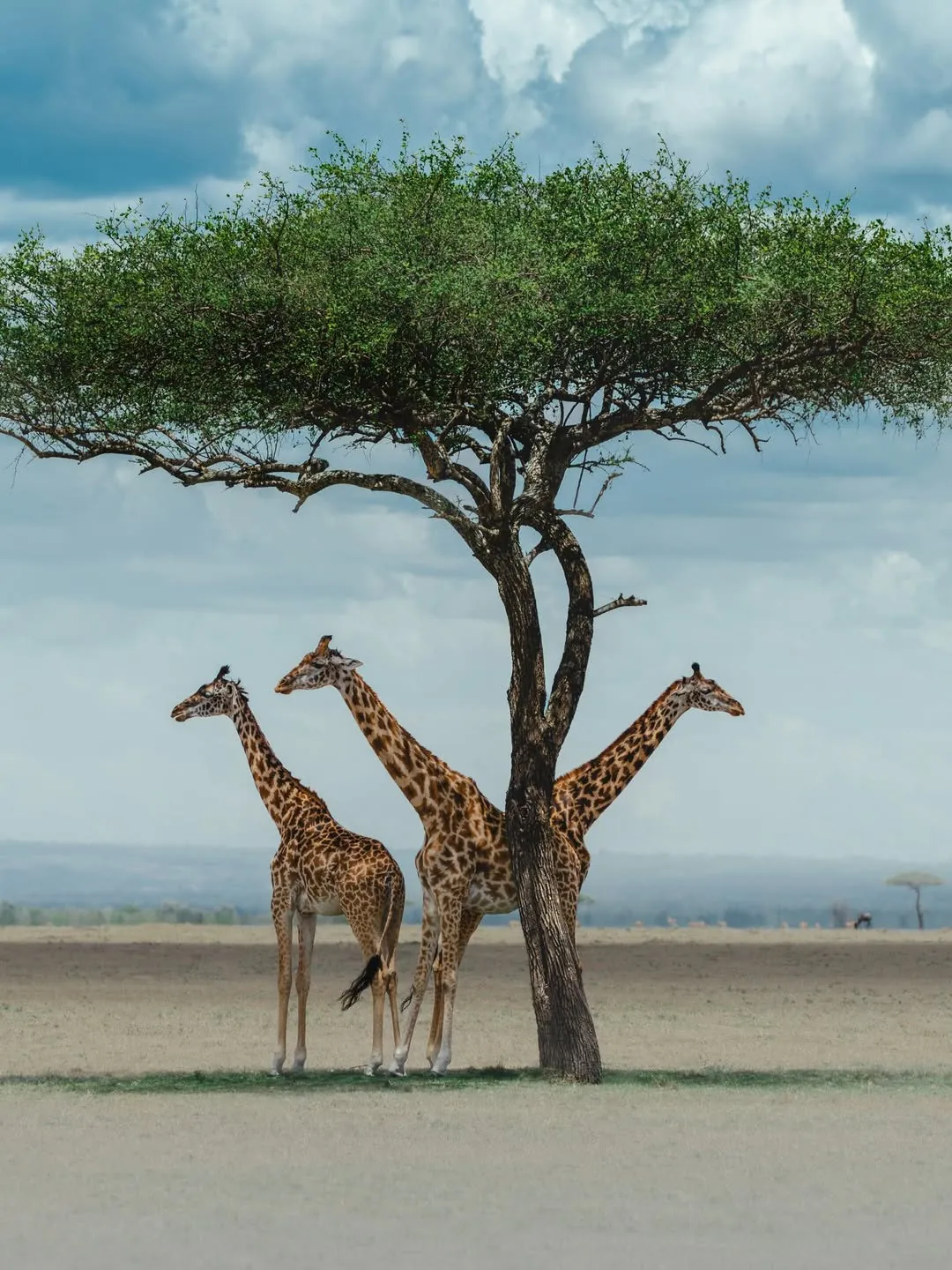 Family Kenya